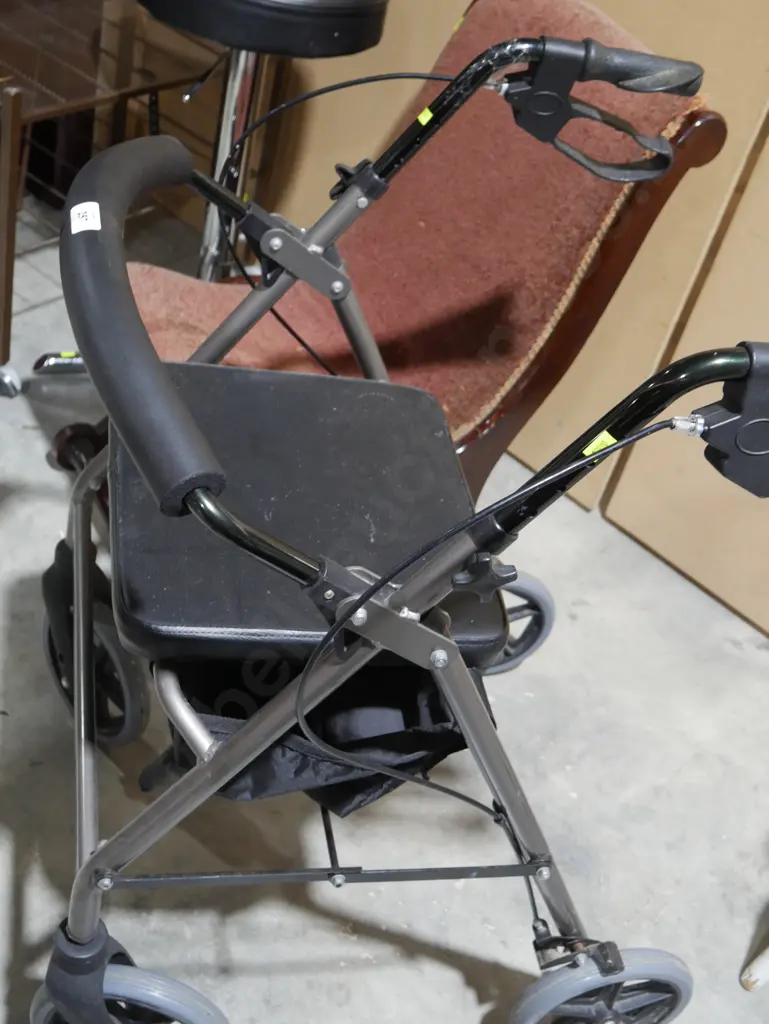 Mobility walker Image 1++