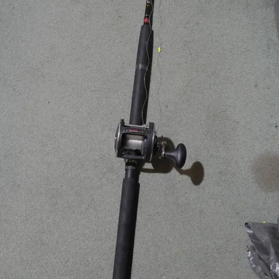 Fishing rod