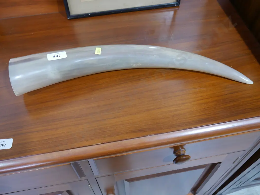 Horn Image 1++
