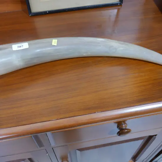 Horn