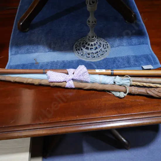 Assorted walking sticks