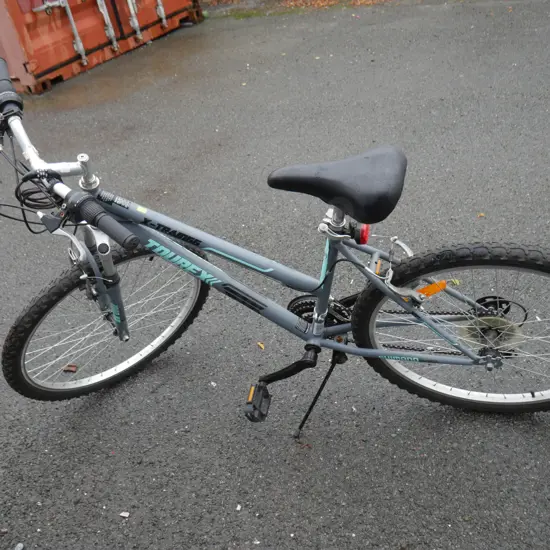 Torex ladies bike