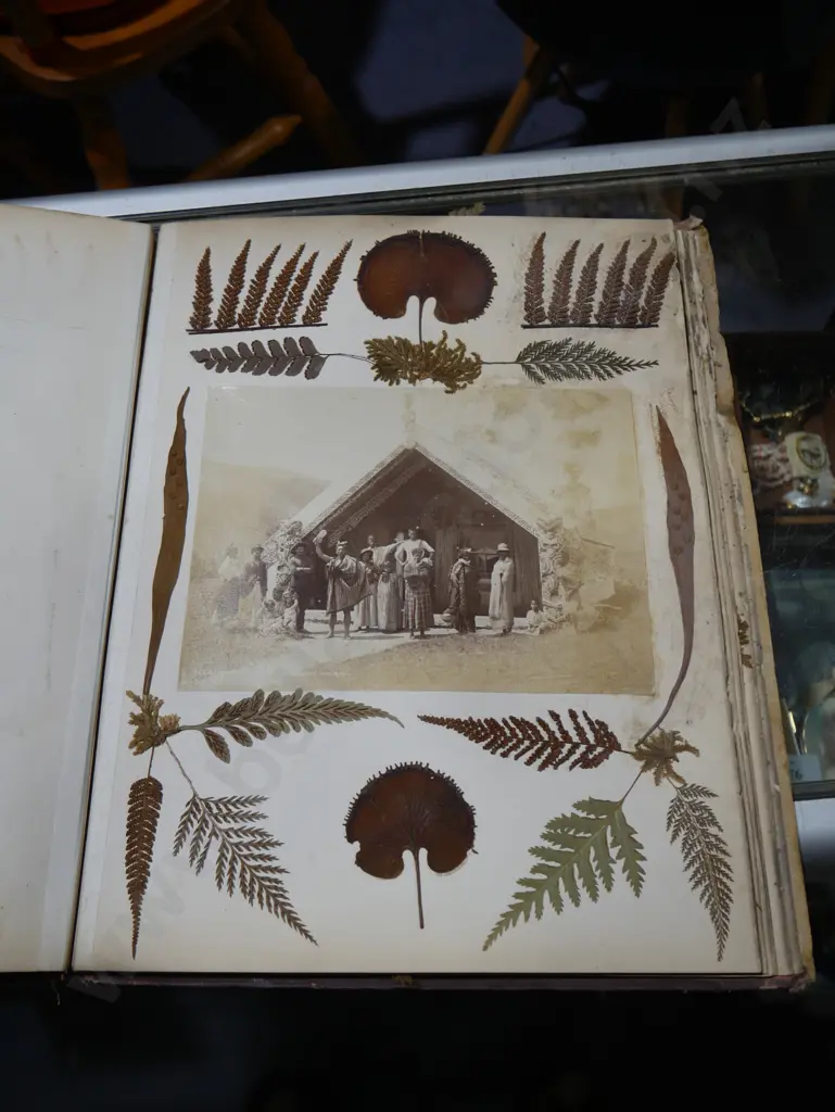 New Zealand ferns album Image 1++