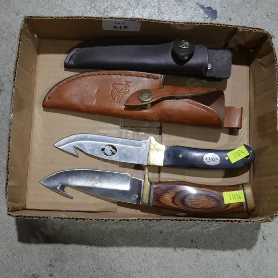 2 knives and sheaths