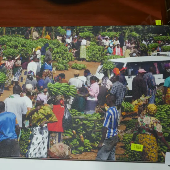 White Butler's tray and canvas picture