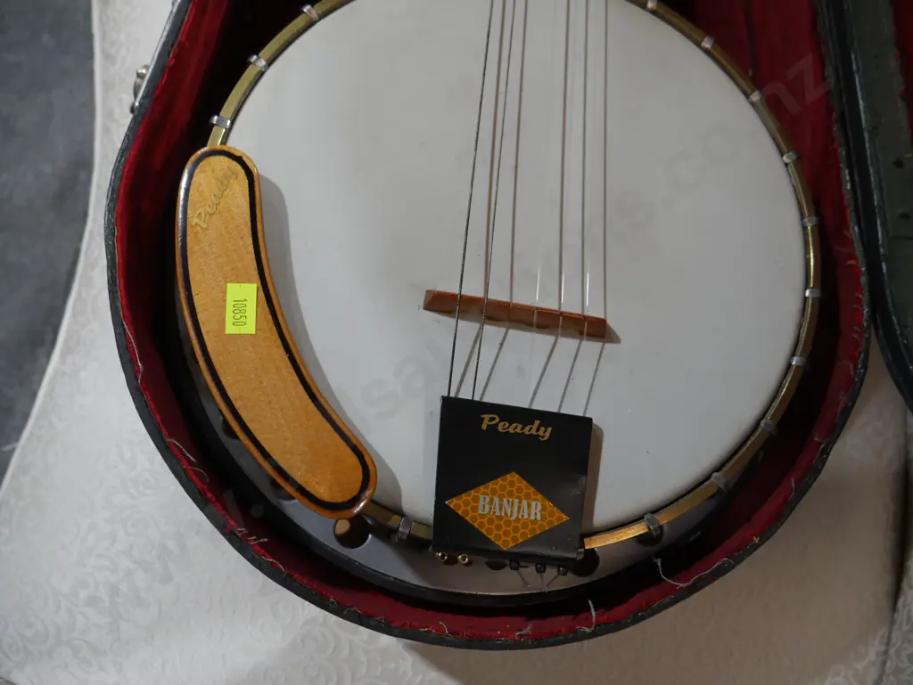 Peady Banjar banjo and case Image 1++