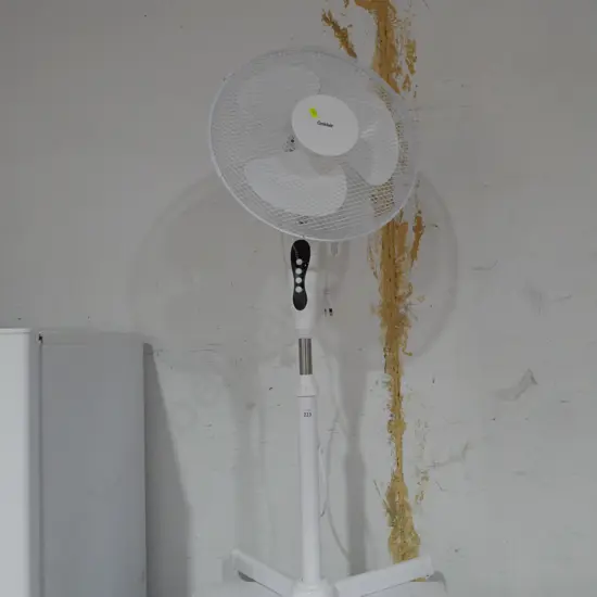 Fan