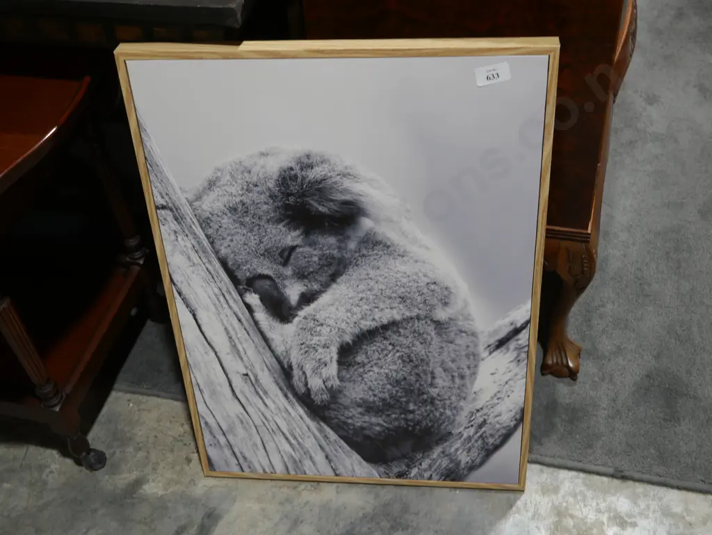 Koala canvas picture Image 1++