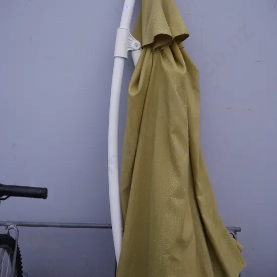 Umbrella