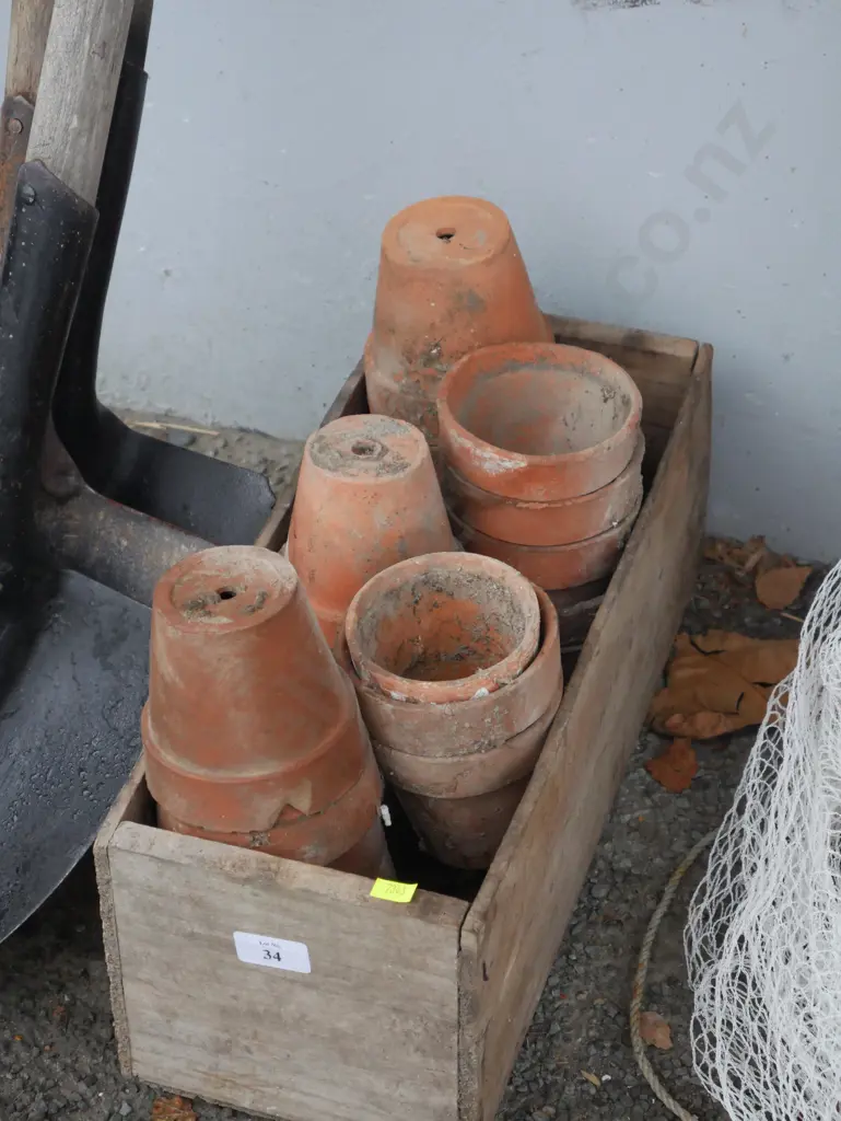 Plant pots Image 1++