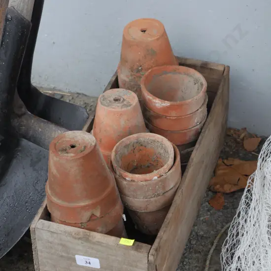 Plant pots