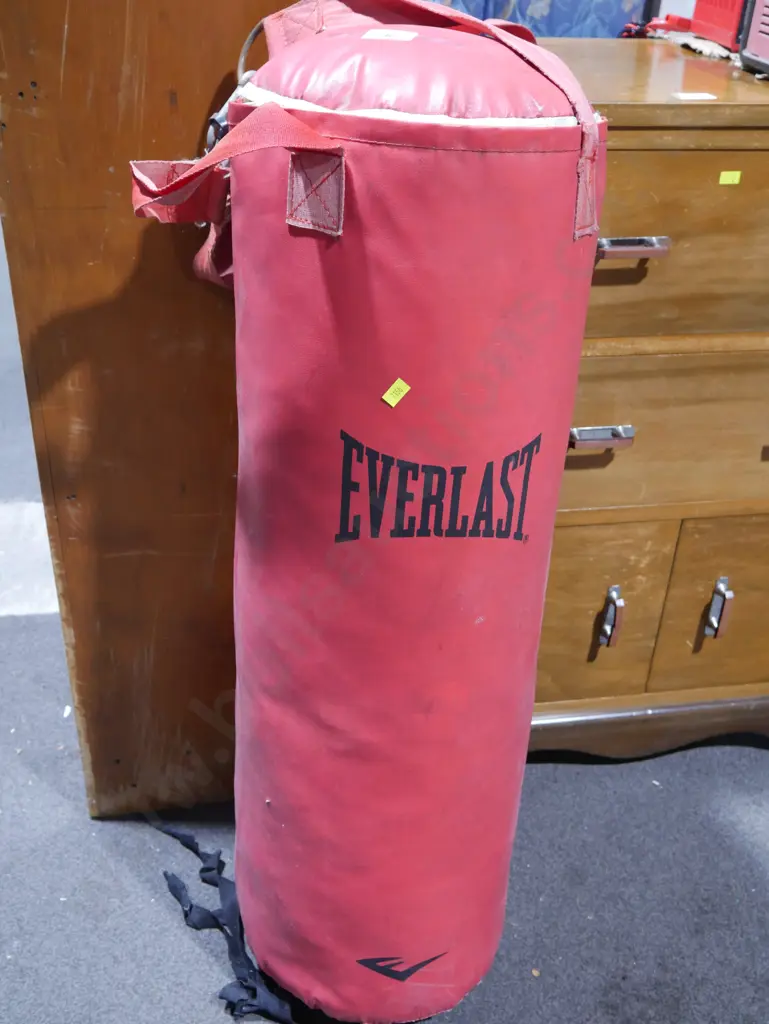 Punching bag Image 1++