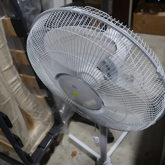 Fan