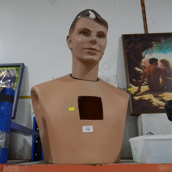 Torso