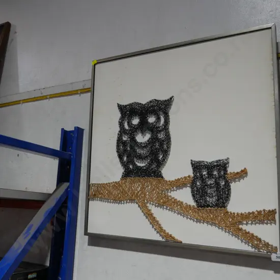 Owl picture