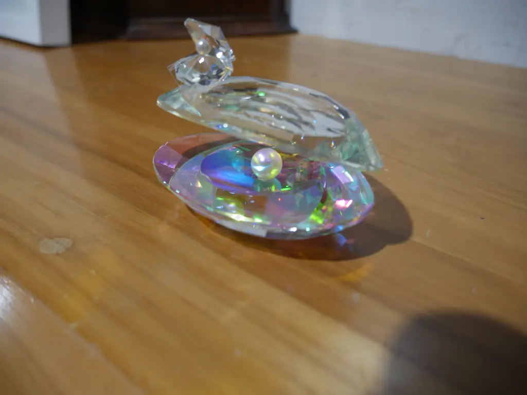 Crystal oyster Image 1++