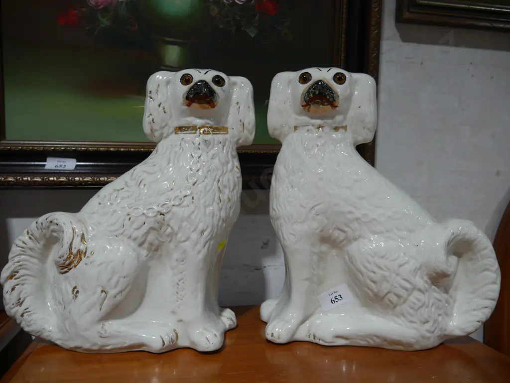 Pr china dogs Image 1++