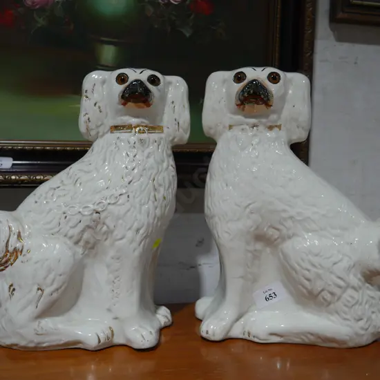 Pr china dogs