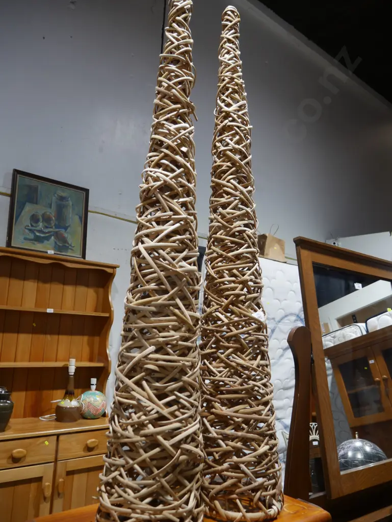 Cane cones Image 1++