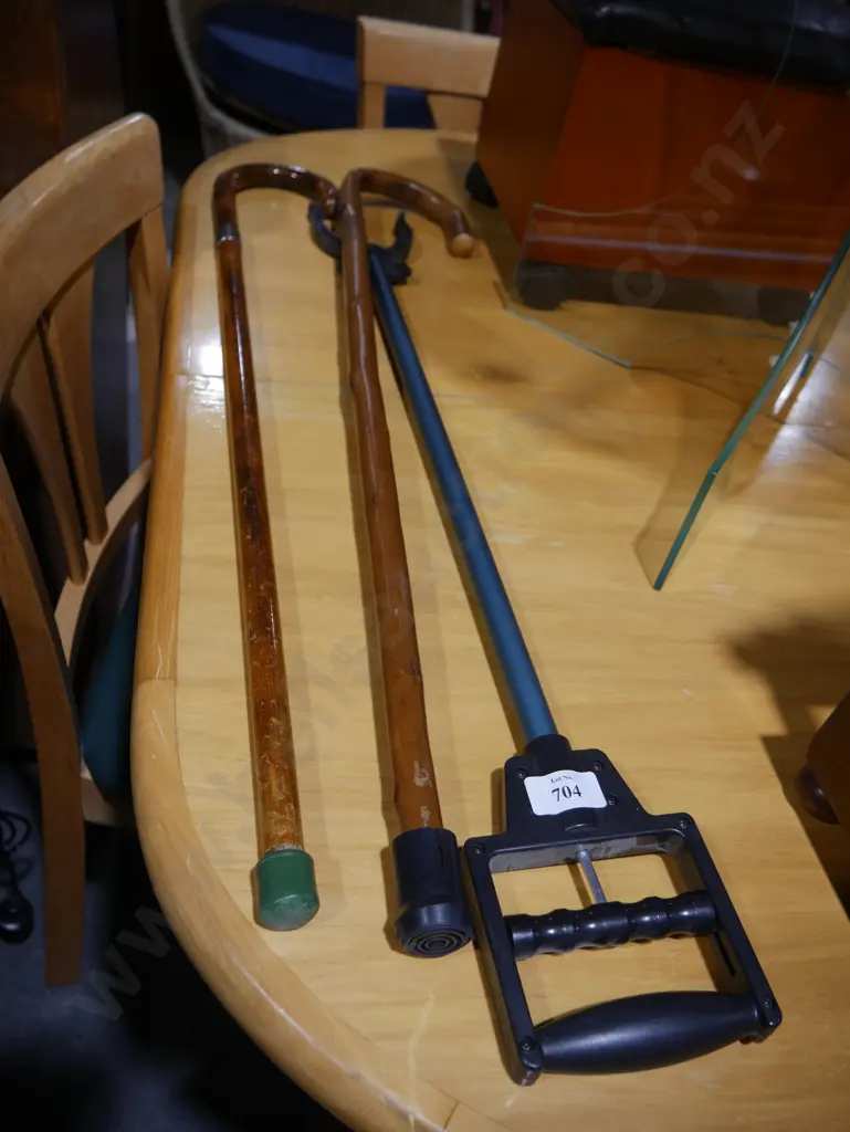Walking sticks and claw Image 1++