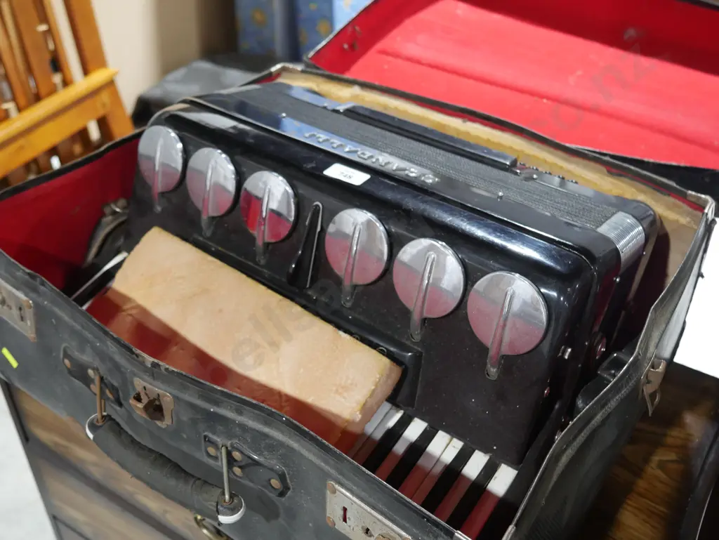 Piano accordion Image 1++
