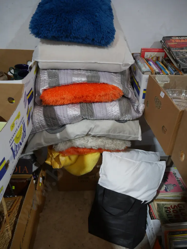 Cushions etc Image 1++