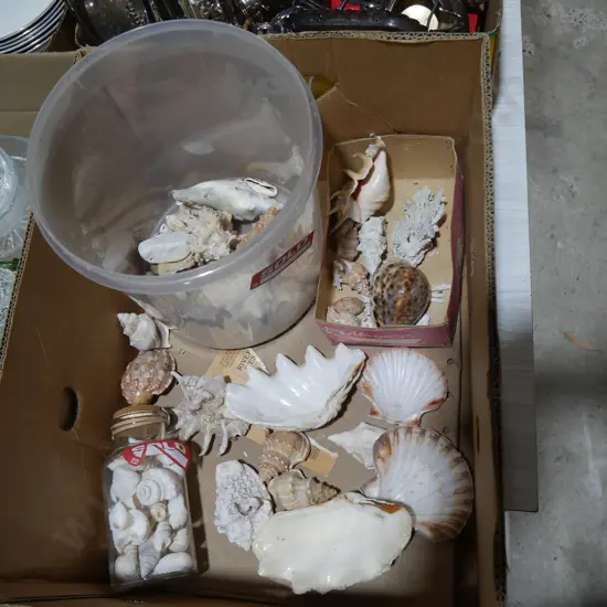Shells