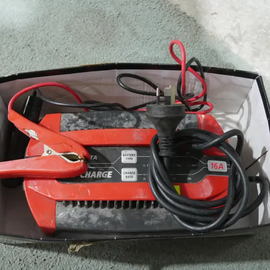 Projecta battery charger