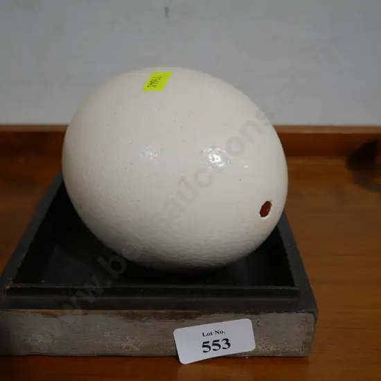 Ostrich egg