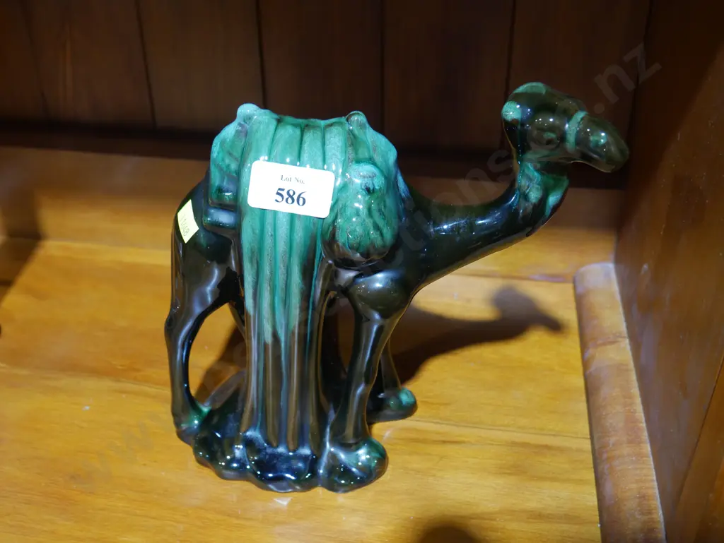 Blue mountain camel Image 1++