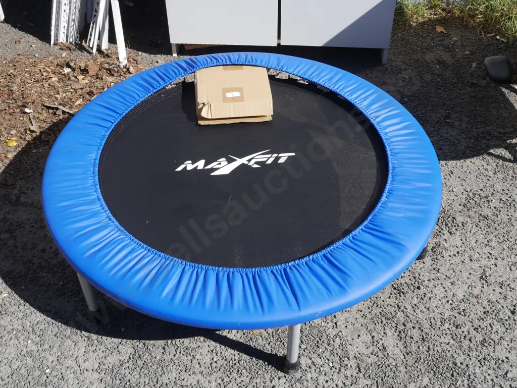 Mini trampoline Image 1++