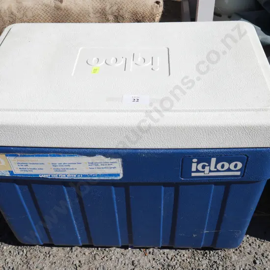 Igloo chili bin