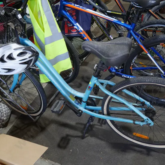 Ladies Jamis bike