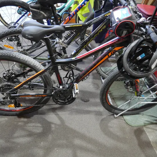 Liv mountain bike