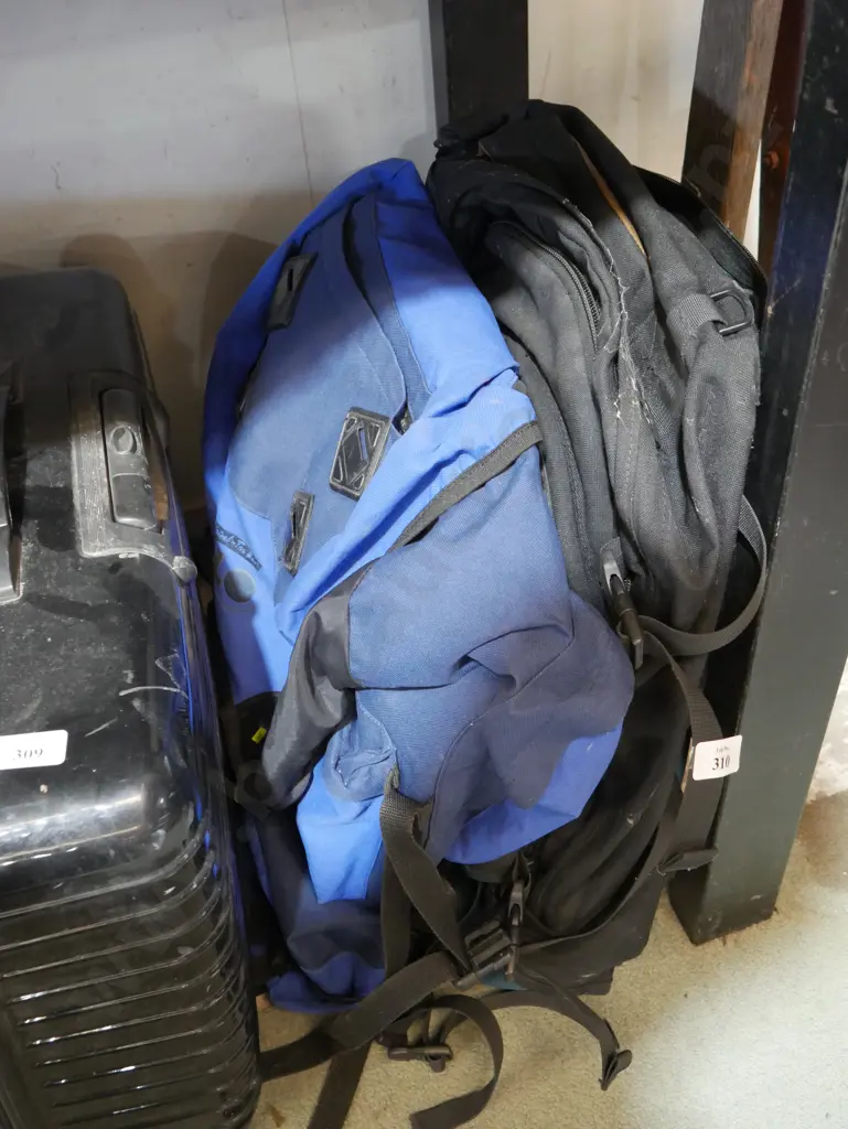 Two tramping packs Image 1++