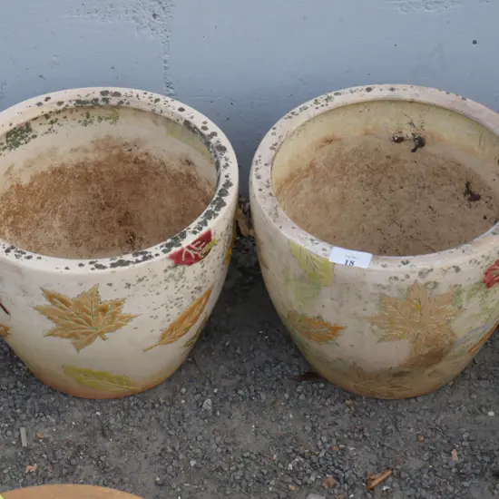 2 plant pots