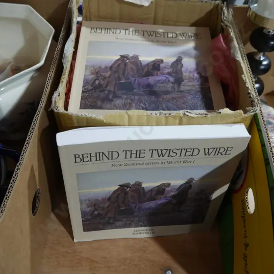Behind the twisted wire books