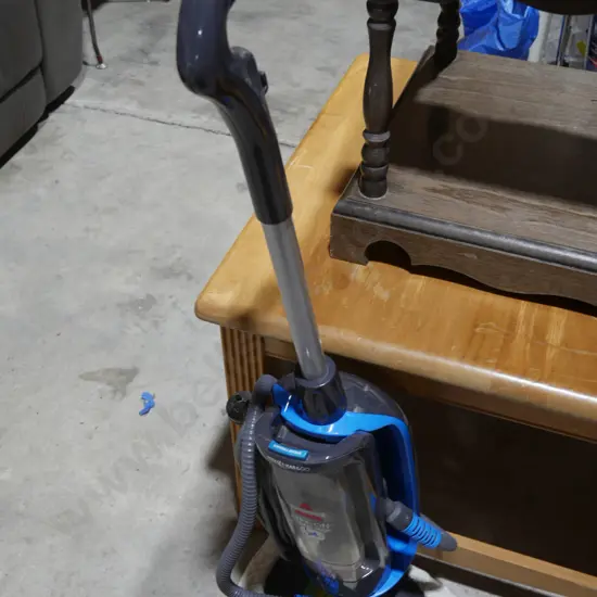 Bissell steam mop