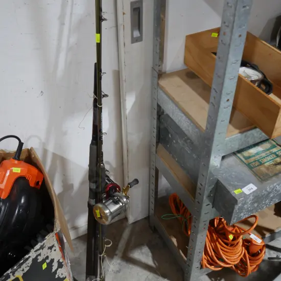 2 fishing rods