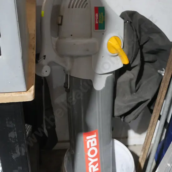 Ryobi blower vac