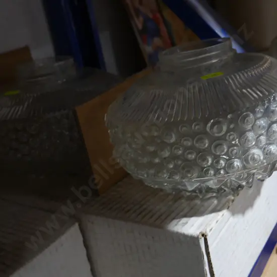 Two glass light shades