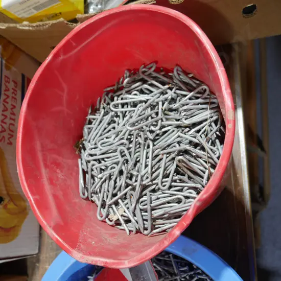 Large Staples