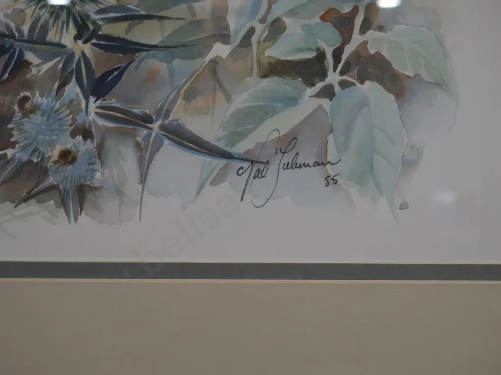 Framed watercolour Image 1++