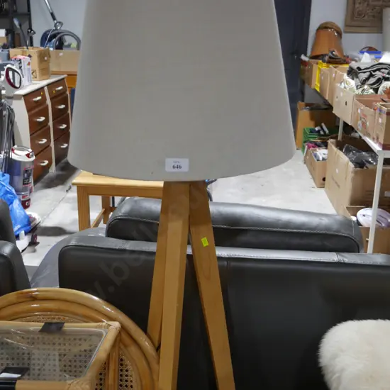 Floor lamp