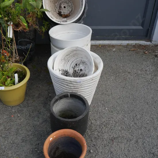 Assorted plant pots