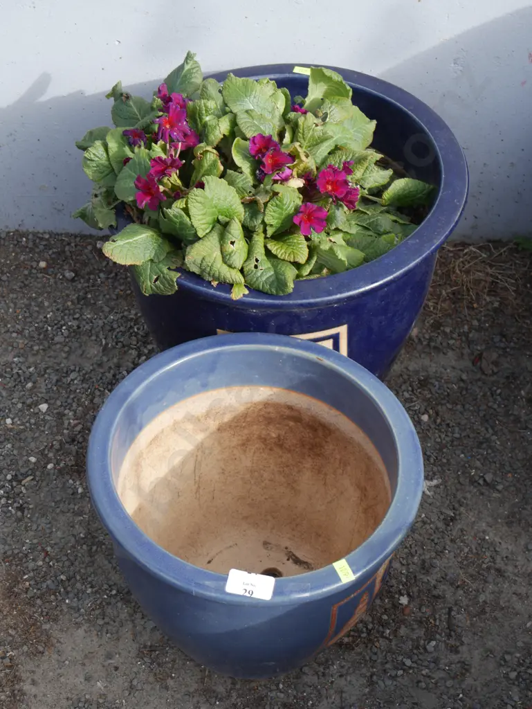 Plant pot and potted plant Image 1++
