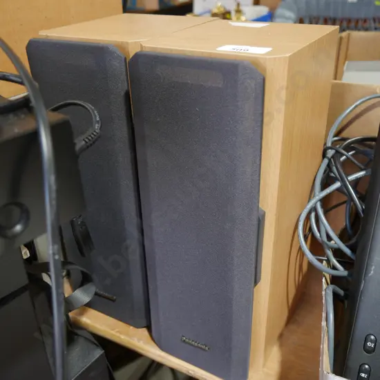 Panasonic speakers