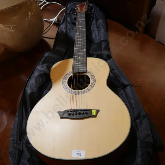 Washburn guitar
