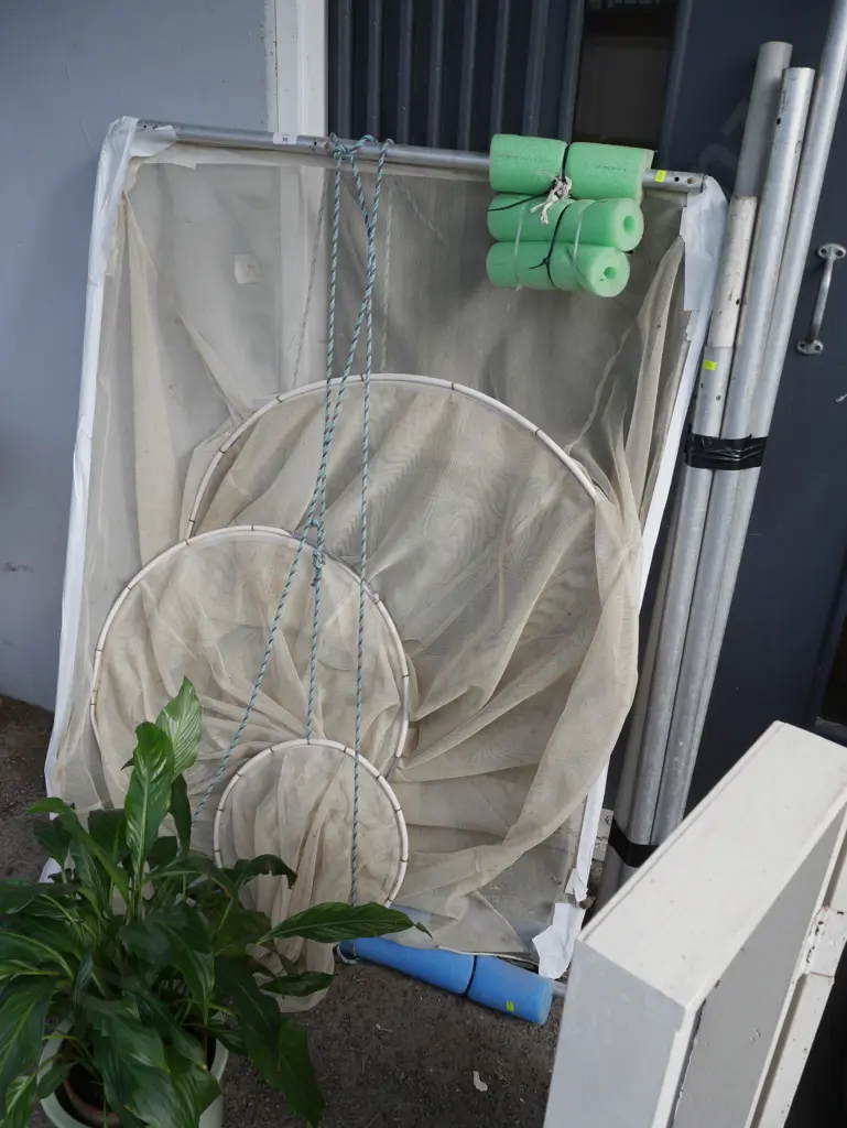 Whitebait net Image 1++