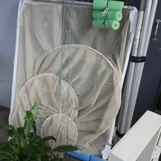 Whitebait net
